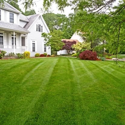 White colonial house with manicured striped lawn, landscaped shrubs, and mature trees