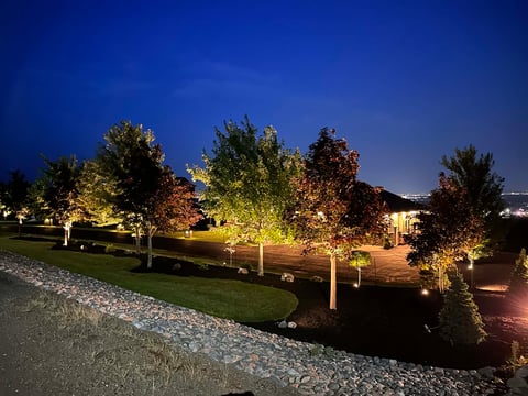 Landscape trees illuminated by warm uplighting at dusk with green lawn and gravel path in foreground