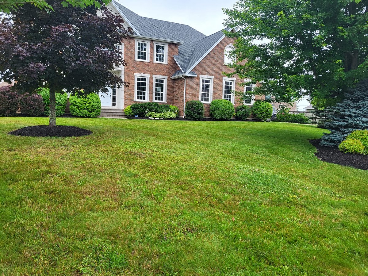 Professional sod installation in Moncton NB with lush green lawn and beautiful landscaping