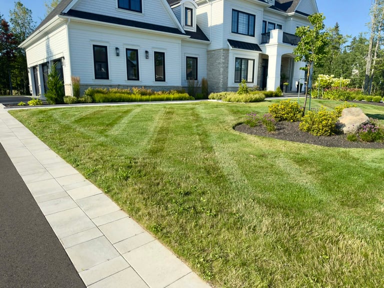 Modern white two-story house with manicured lawn, stone pathway, and landscaped gardens on sunny day