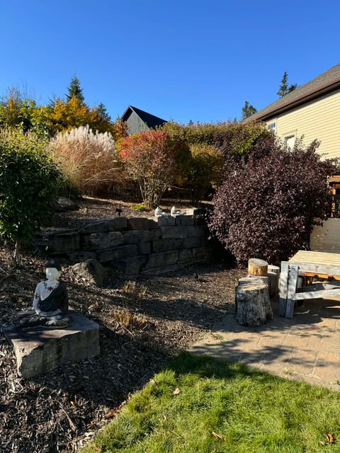 Backyard landscape with stacked stone planters, mixed shrubs and trees, wooden structures, and clear blue sky on a sunny day